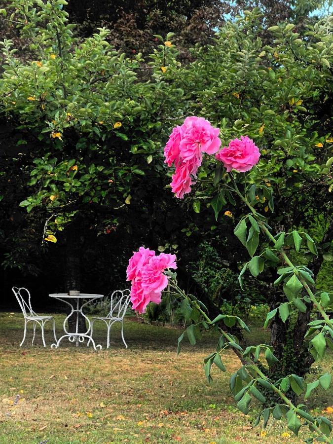 L'Escale Chambres Et Table D'Hotes Verdun-sur-le-Doubs Luaran gambar